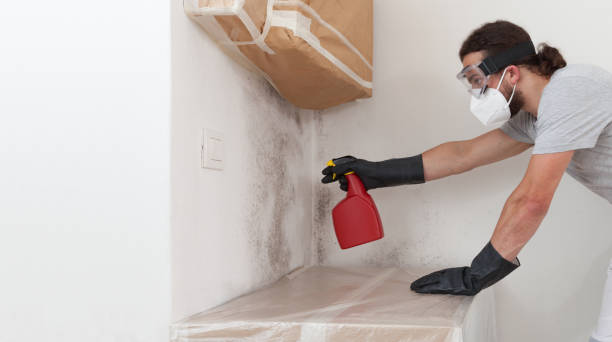 Professional Bathroom Mold Removal technician working in Romeoville, IL