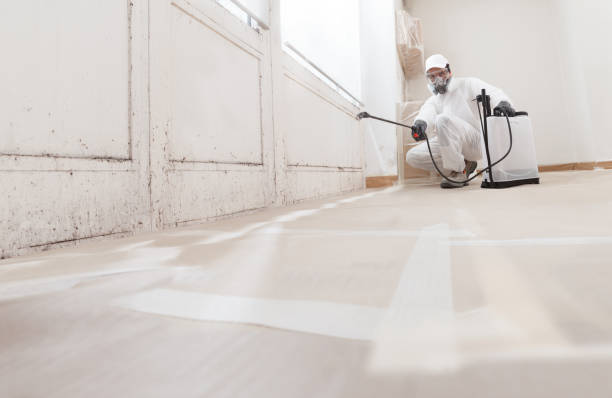 24/7 Emergency Bathroom Mold Removal experts in Romeoville, IL